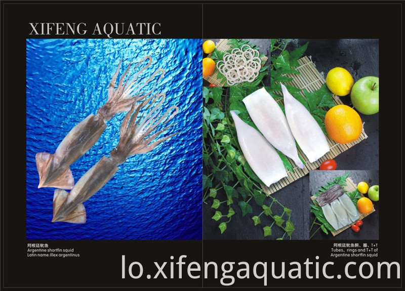 ປາຫມຶກ Illex Illex Squid